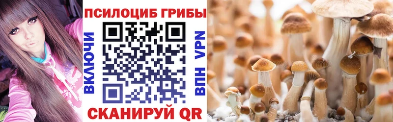 blacksprut ссылки  Вяземский  Псилоцибиновые грибы мухоморы 